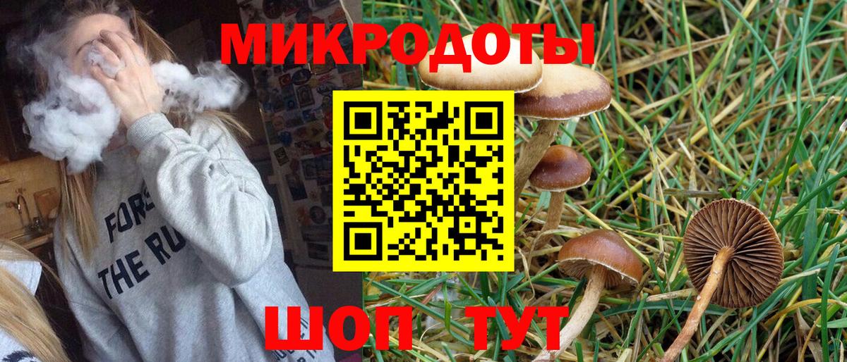 Учалы  Галлюциногенные грибы Psilocybe  Вход с VPN  Псилоцибиновые грибы мицелий 
