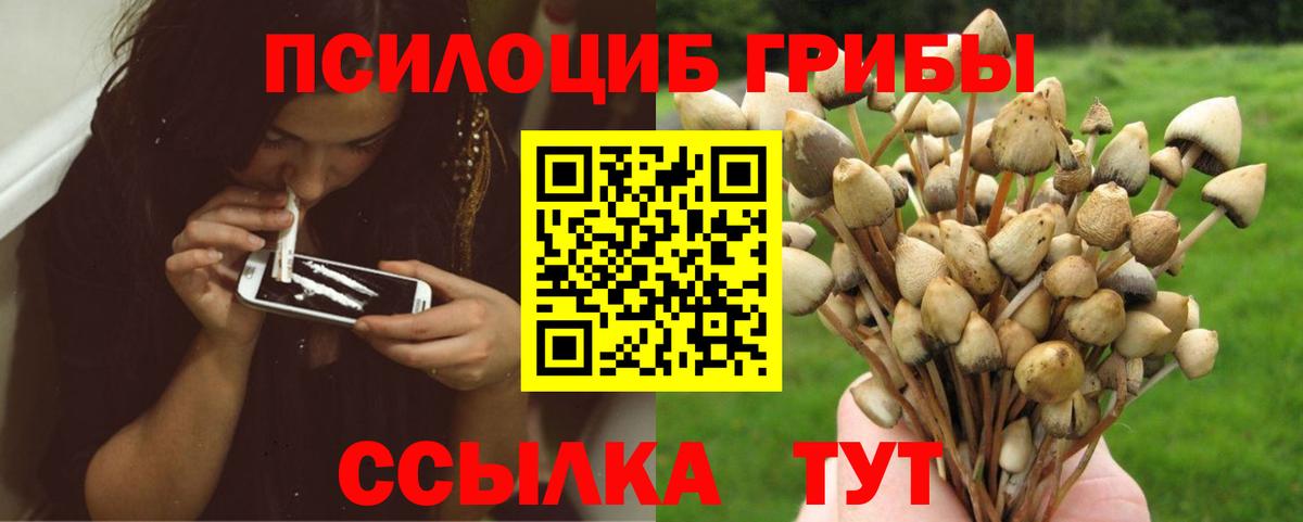 Псилоцибиновые грибы ЛСД Учалы